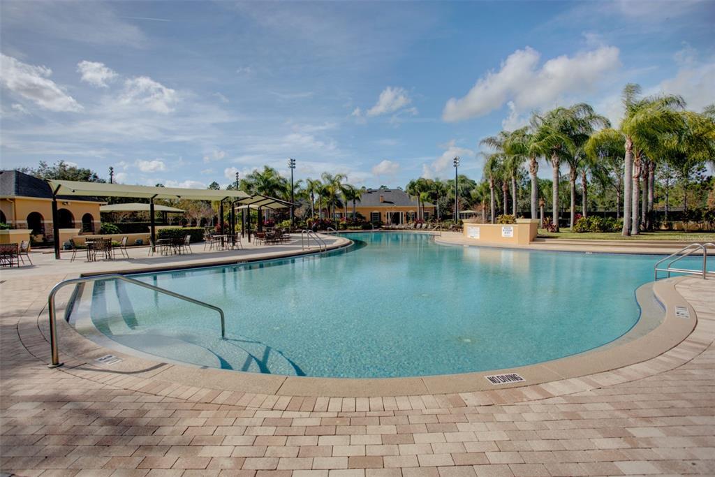 A large outdoor swimming pool with a paved deck, lounge seating, and palm trees — 3894 SAFFLOWER TERRACE, OVIEDO, FL