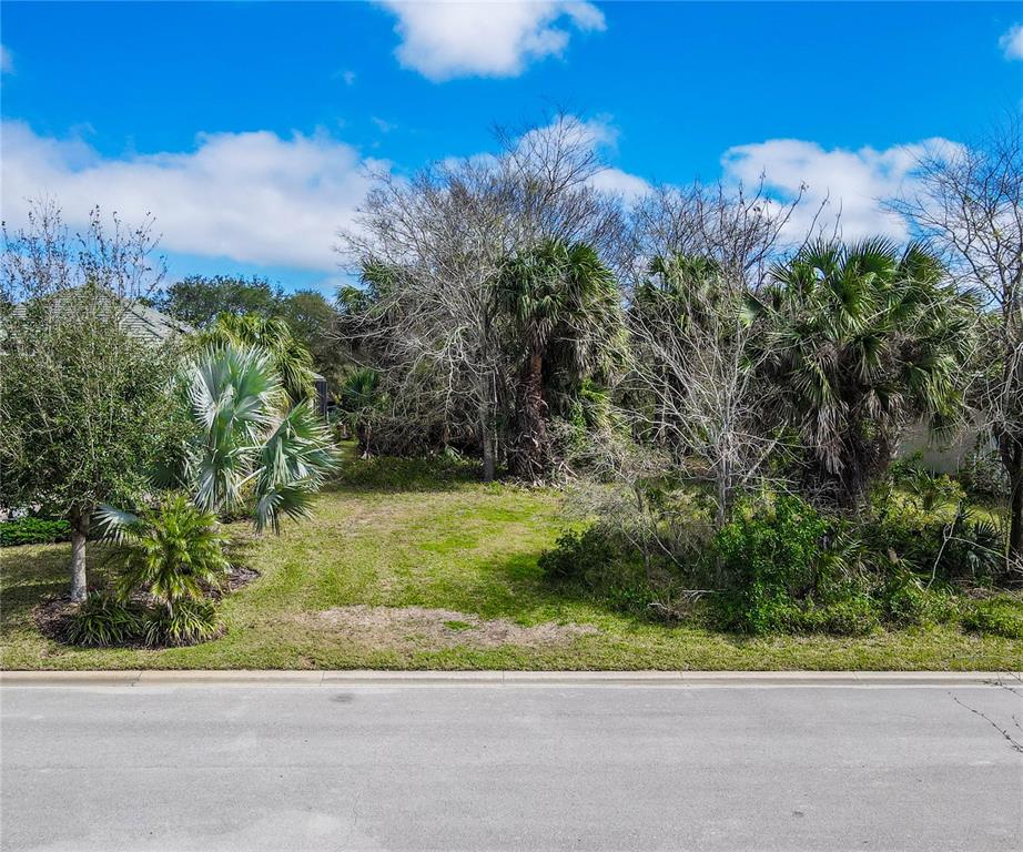 A vacant, grassy residential lot features several palm trees and native vegetation under a blue sky — 121 LONGVIEW WAY N, PALM COAST, FL
