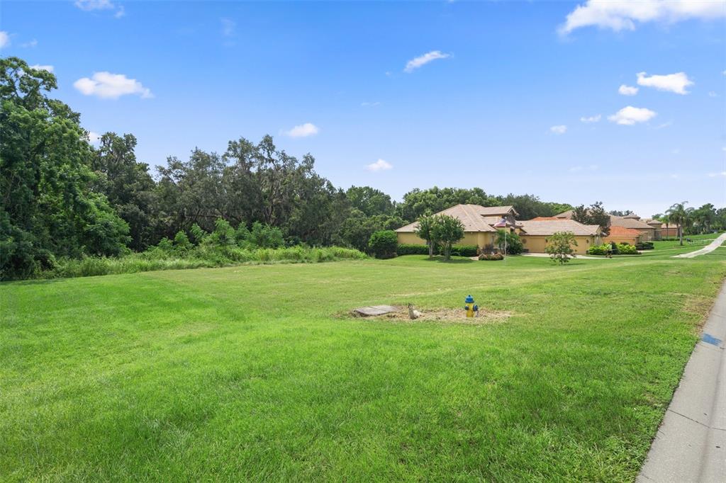 13208 TRADITION DRIVE, DADE CITY, FL — photo 5 of 22