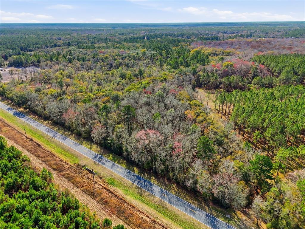 An aerial view shows a paved road running alongside a dense, wooded forest area — 20994 SW COUNTY ROAD 18 Lot 2, BROOKER, FL