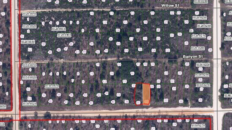 00 MAIN STREET, INTERLACHEN, FL — photo 2 of 3