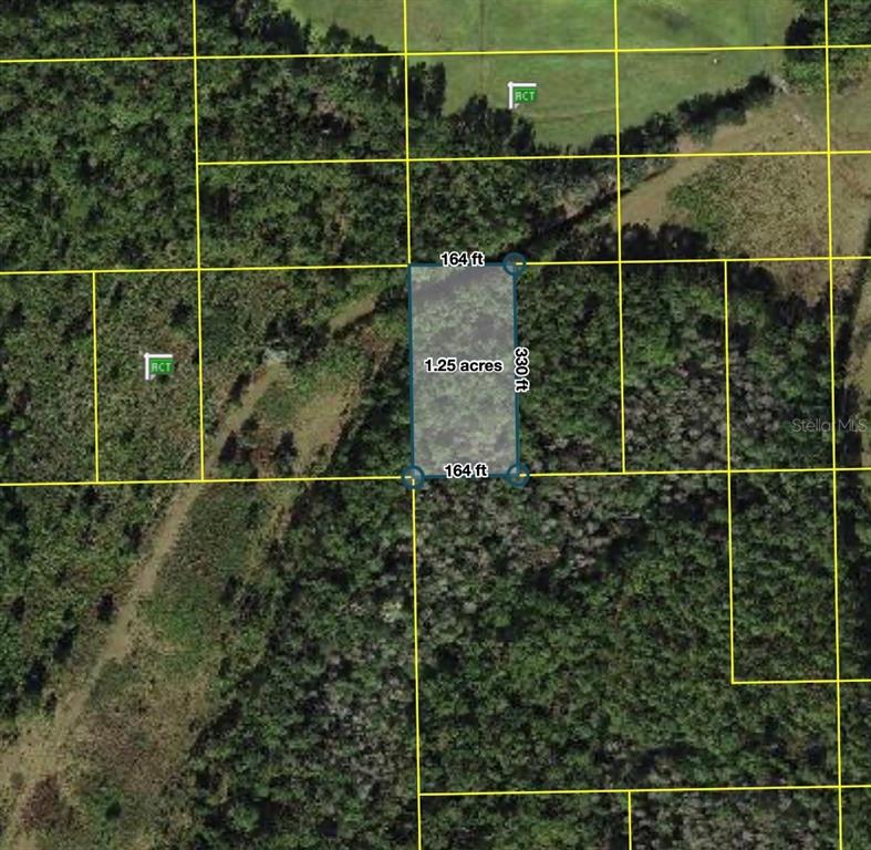 An aerial map shows a rectangular 1.25-acre plot of land outlined in blue — POLK CITY, POLK CITY, FL