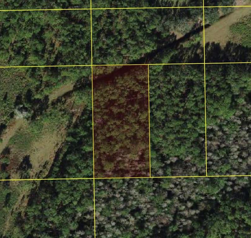 This is an aerial map view of a rectangular, wooded plot of land — POLK CITY, POLK CITY, FL