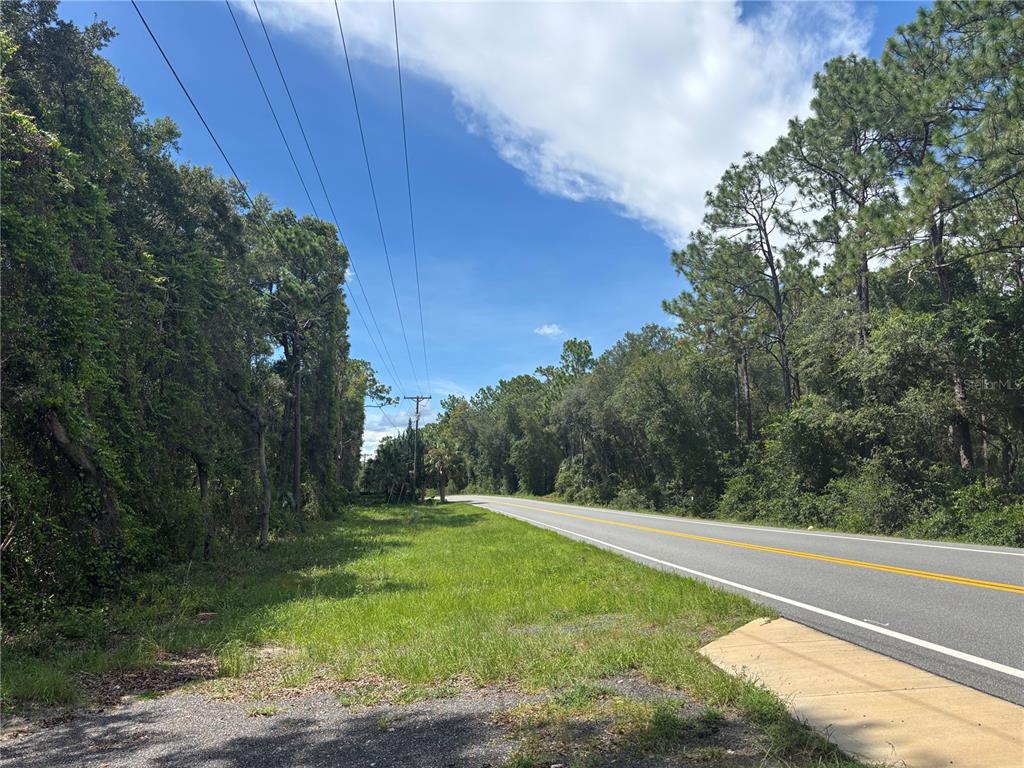 A paved road runs alongside a grassy lot bordered by dense trees under a blue sky — 0 SE 180TH AVE, OCKLAWAHA, FL