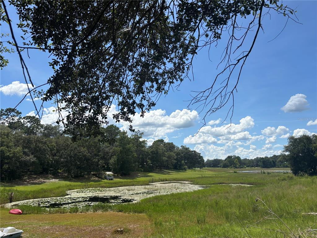 A grassy field with a small pond and trees under a blue sky — 0 SE 180TH AVE, OCKLAWAHA, FL