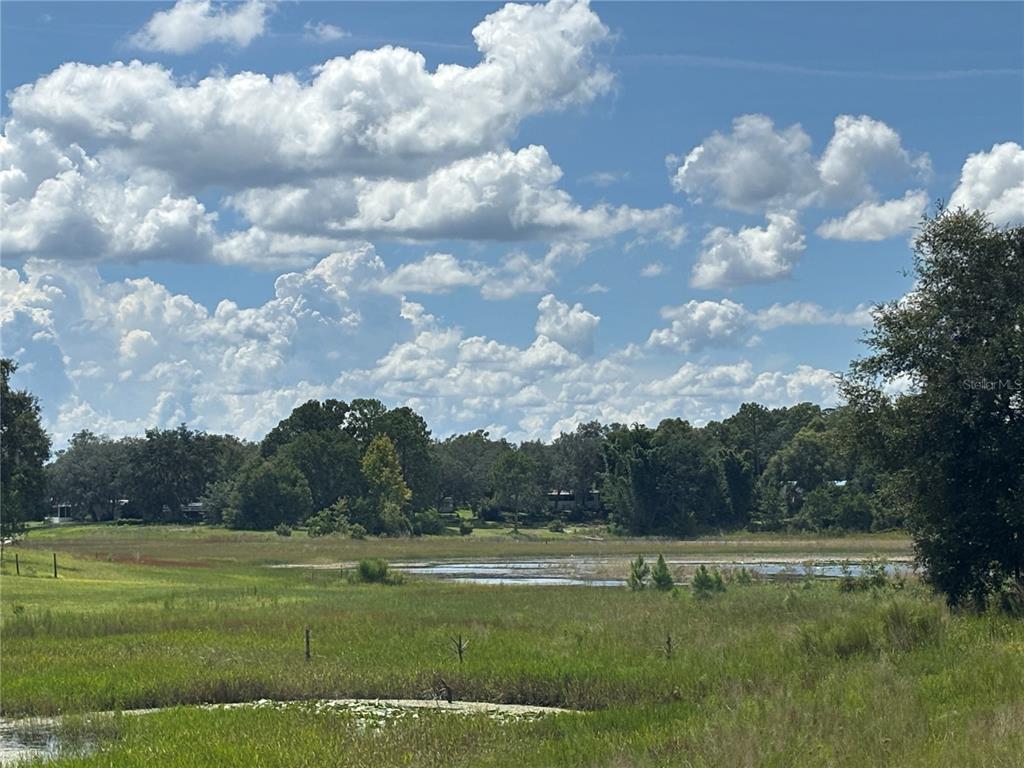A grassy field leads to a small pond with a treeline and clouds in the background — 0 SE 180TH AVE, OCKLAWAHA, FL