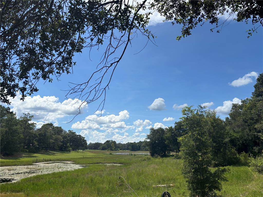 A grassy field with a small pond is surrounded by trees under a blue sky — 0 SE 180TH AVE, OCKLAWAHA, FL