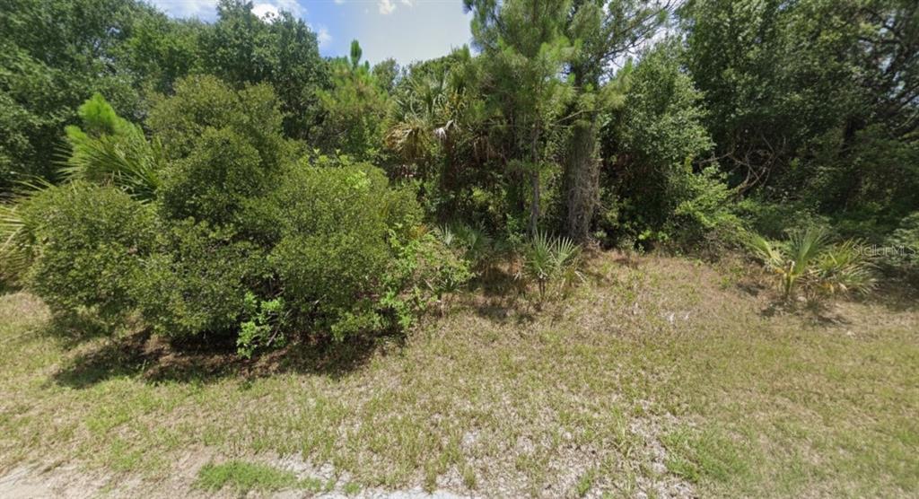 A vacant, wooded lot with dense green vegetation and small palm trees under a blue sky — WYLAM DRIVE, NORTH PORT, FL