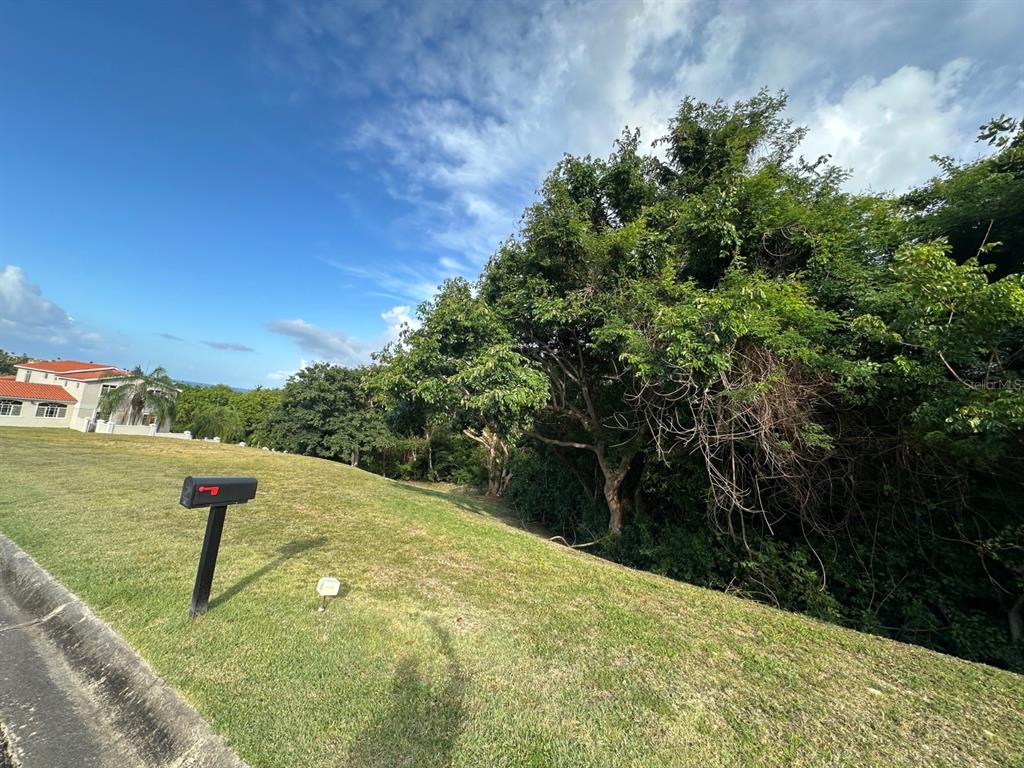 A grassy, sloped residential lot features a mailbox and dense trees under a blue sky — HARBOURLIGHTS ESTATE 75 PALMAS DEL MAR, HUMACAO, PR