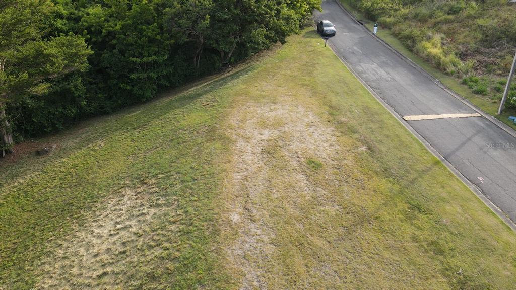 An aerial view shows a grassy, sloped vacant lot next to a paved road — HARBOURLIGHTS ESTATE 75 PALMAS DEL MAR, HUMACAO, PR