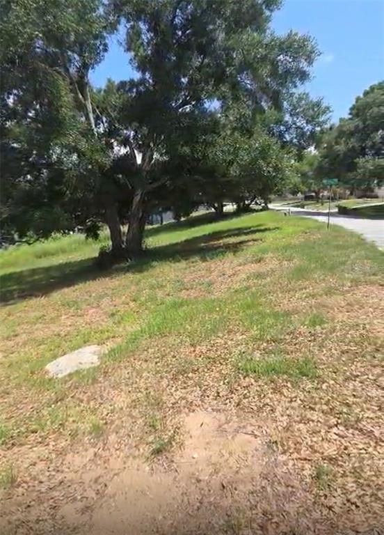 A large tree stands on a grassy, sloped lot next to a paved residential street — 0 S LAKESHORE COURT, EUSTIS, FL