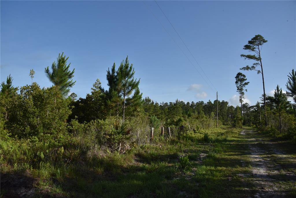 A dirt path runs alongside a wooded area with a wire fence and utility poles — 22370 NE 130TH AVENUE, FORT MC COY, FL