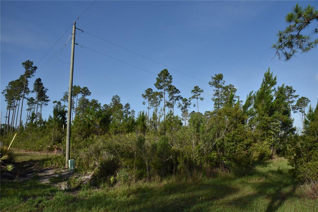 A utility pole stands in a grassy, wooded lot under a clear blue sky — 22370 NE 130TH AVENUE, FORT MC COY, FL