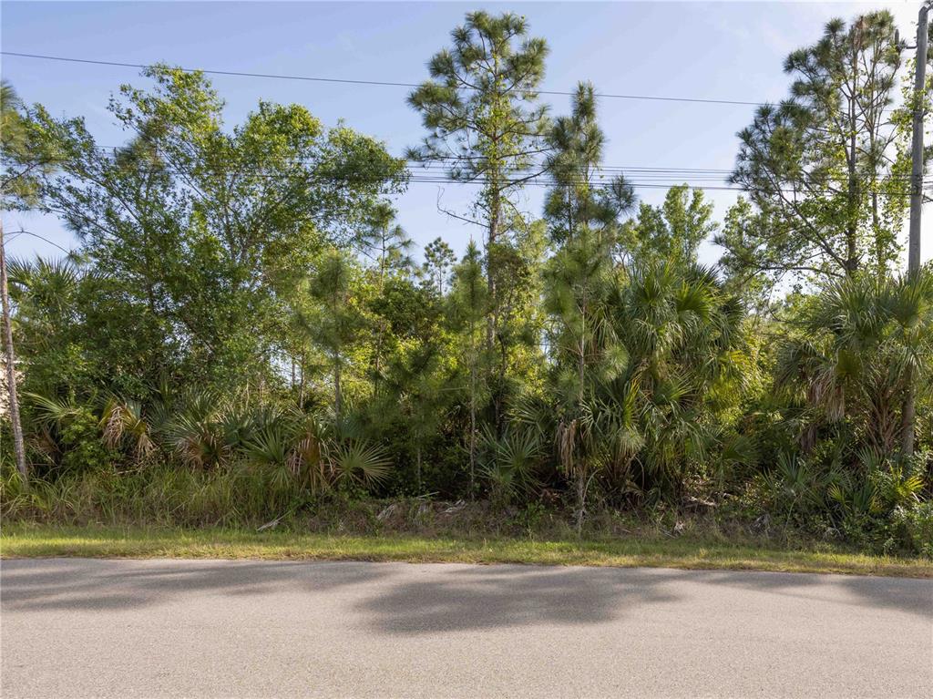 A paved road runs in front of a wooded lot with pine trees and palmettos — SAWYER CIRCLE, NORTH PORT, FL