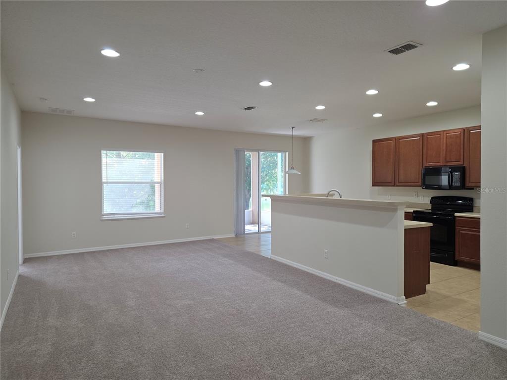An open-concept living room with carpeted flooring connects to a kitchen featuring wood cabinetry — 311 RAMBLING CIRCLE, APOPKA, FL