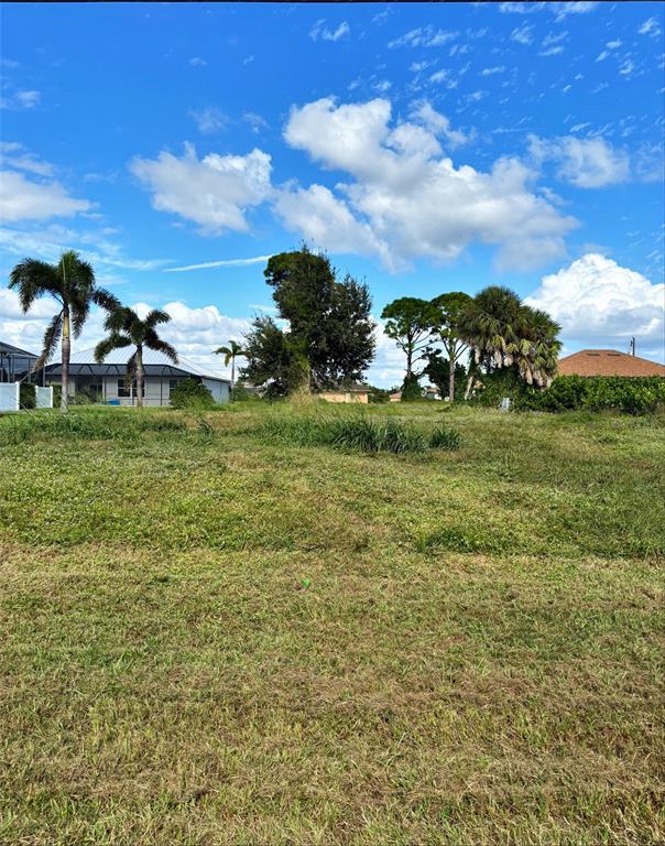 A grassy vacant lot features several palm trees and mature trees under a blue sky — 57 PINE VALLEY LANE, ROTONDA WEST, FL