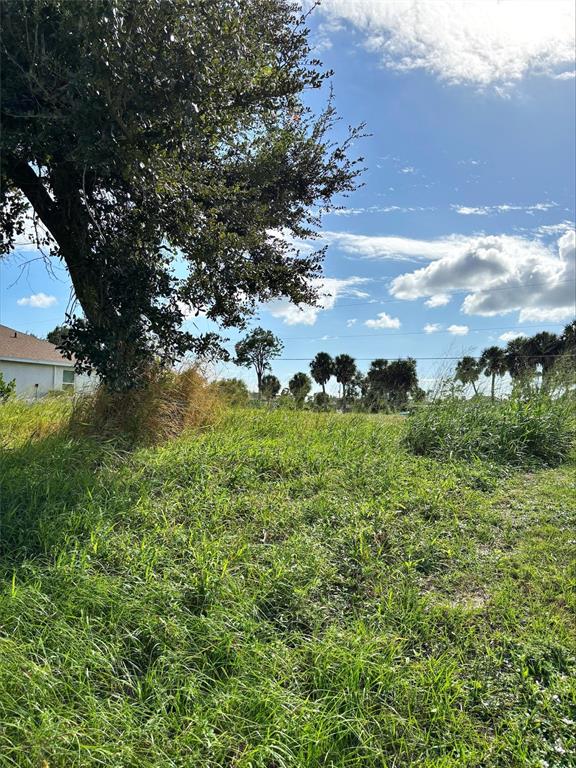 A grassy, undeveloped lot features a large tree on the left under a blue sky — 57 PINE VALLEY LANE, ROTONDA WEST, FL