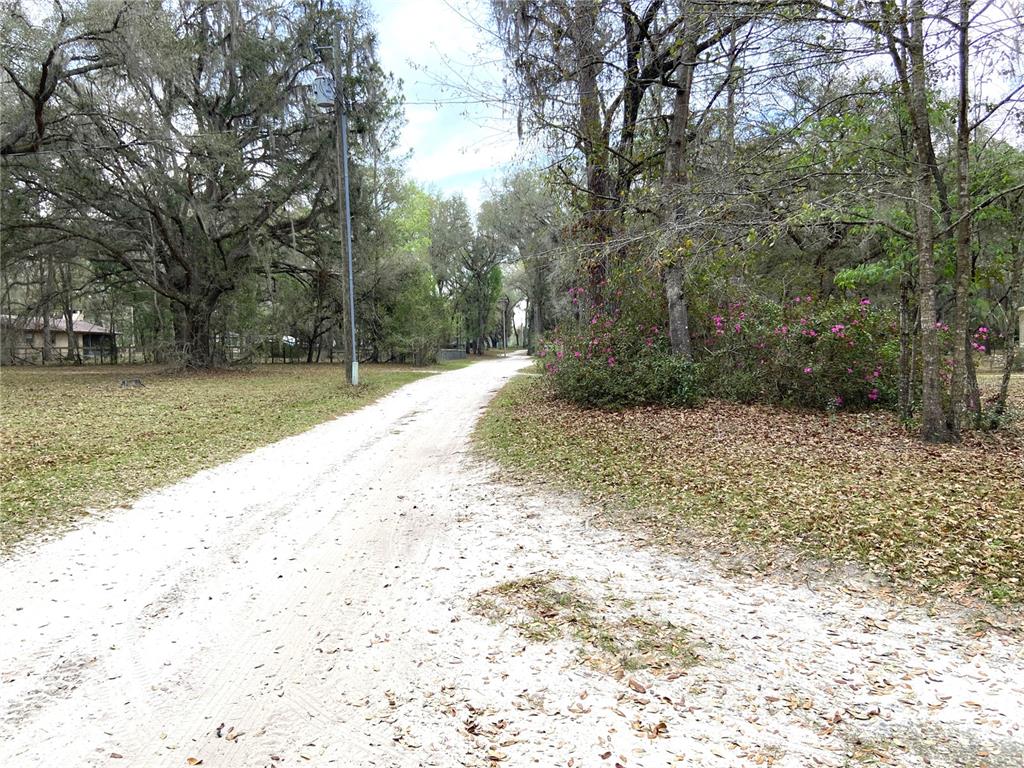 A dirt road leads through a wooded area with large trees and flowering bushes — 15213 NW 31ST TERRACE, GAINESVILLE, FL