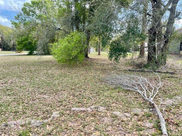 HIGHLAND TRAIL, LADY LAKE, FL — photo 4 of 5