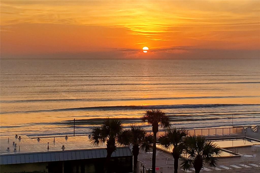 A view of the ocean at sunrise from a balcony overlooking palm trees and a pool — 4175 S ATLANTIC AVENUE UNIT 511, NEW SMYRNA BEACH, FL