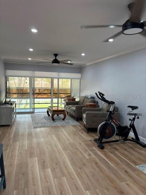 A living room features wood-look flooring, a ceiling fan, and a stationary exercise bike — 2302 S MANHATTAN AVENUE UNIT 215, TAMPA, FL