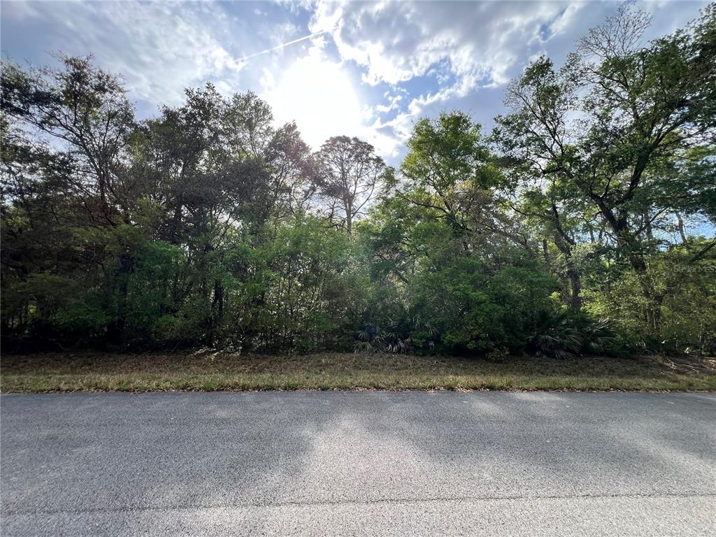 A paved road runs in front of a dense, wooded lot under a bright sky — NW 74TH COURT UNIT 111, CHIEFLAND, FL