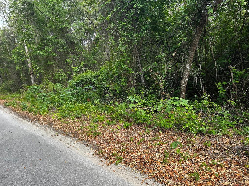 A paved road runs alongside a densely wooded, undeveloped plot of land — TBD SE 52ND PLACE, OCKLAWAHA, FL