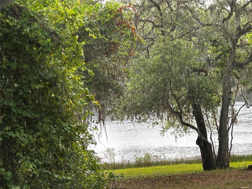 A view of a lake framed by dense green trees and Spanish moss — TBD SE 52ND PLACE, OCKLAWAHA, FL