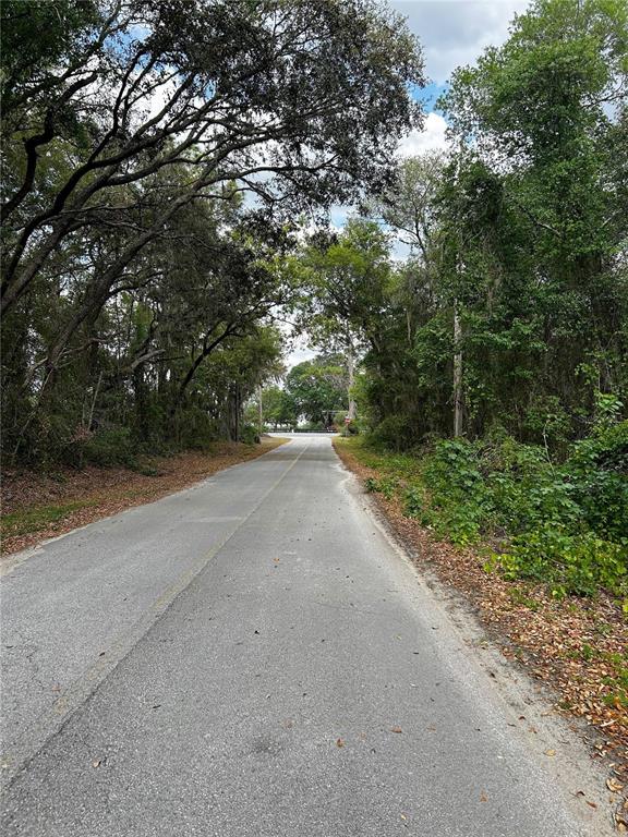 A paved road stretches forward through a wooded area with large trees on both sides — TBD SE 52ND PLACE, OCKLAWAHA, FL
