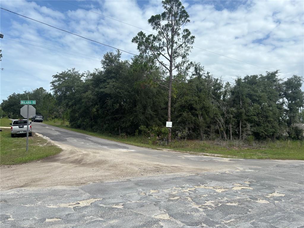 A street corner with a road sign, a parked truck, and a wooded vacant lot — 0000 MALAUKA PLACE, OCKLAWAHA, FL
