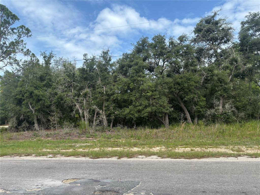A view of a wooded, undeveloped plot of land bordering a paved road — 0000 MALAUKA PLACE, OCKLAWAHA, FL