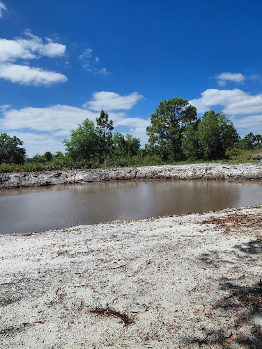 A small, muddy pond is surrounded by sandy ground and a line of pine trees — 17122 NW 292nd Street, Okeechobee FL 34972, OKEECHOBEE, FL