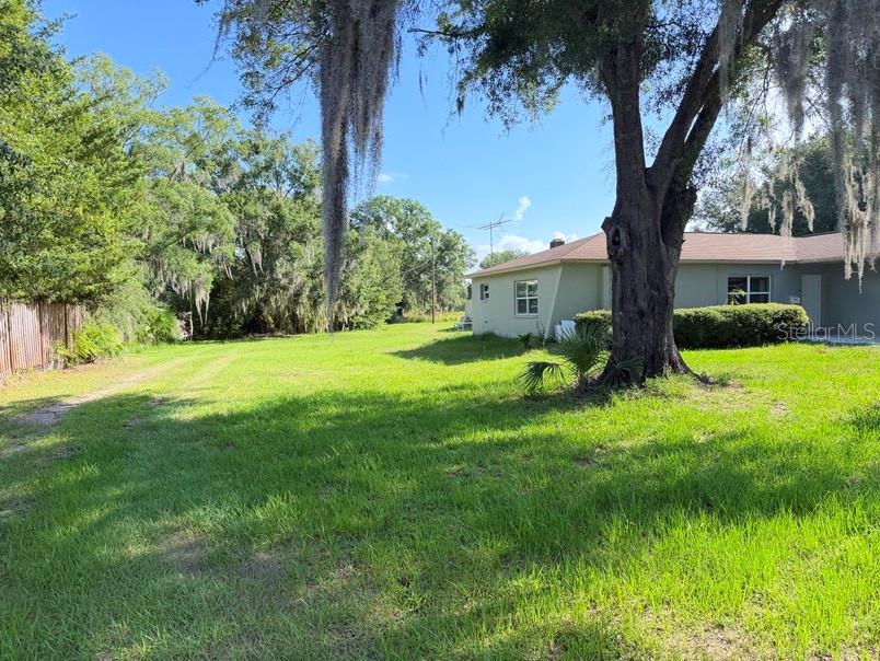 A grassy yard extends toward a light-colored house with a large tree in the foreground — 20801 CHISHOLM TRAIL, LAND O LAKES, FL
