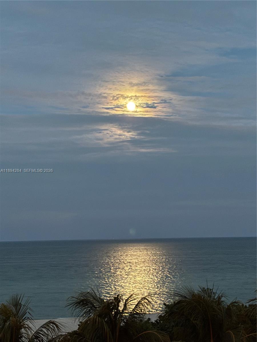 A bright moon shines over the ocean at night with palm trees in the foreground — 5601 Collins Ave # 504, Miami Beach FL 33140, MIAMI BEACH, FL