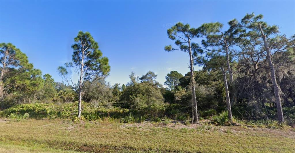 A grassy foreground leads to a wooded lot with several tall pine trees — 1829 BISCAYNE DRIVE, PORT CHARLOTTE, FL