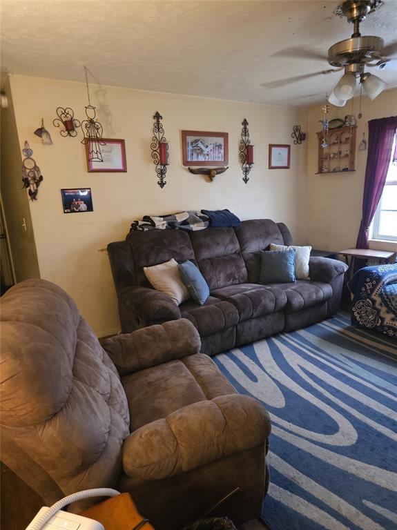 A living room features brown reclining furniture, a blue patterned rug, and wall-mounted decor — 3539 COLLEEN DRIVE, LAKELAND, FL