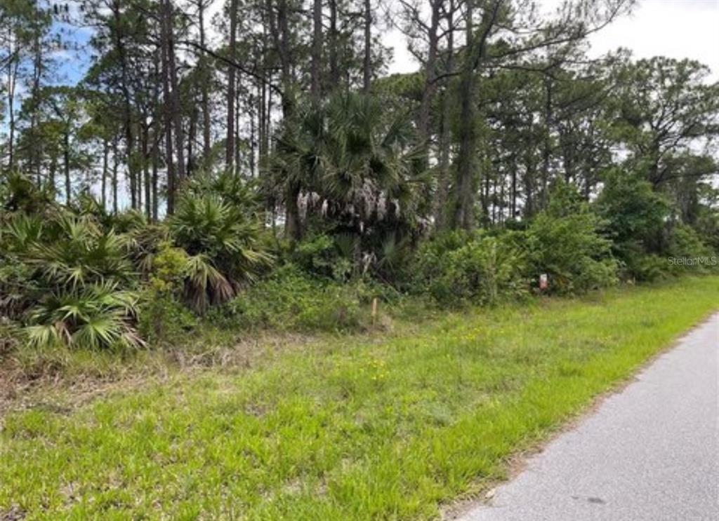 A grassy roadside borders a wooded lot filled with pine trees and palmetto bushes — 3015 EISENHOWER STREET W, INVERNESS, FL