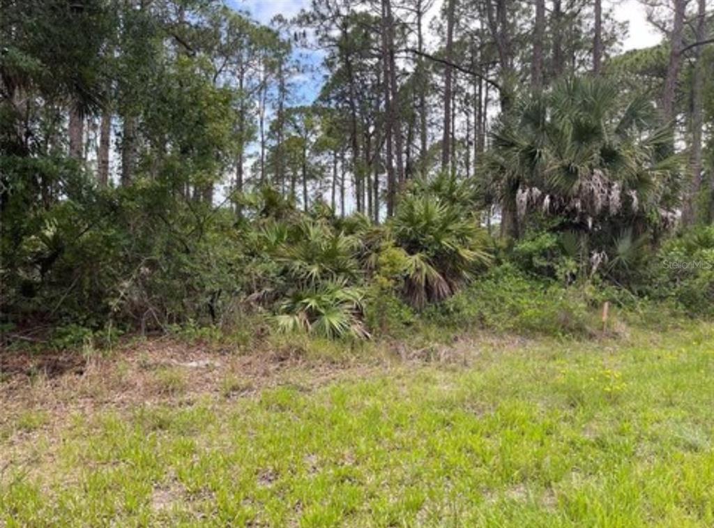 A grassy lot features dense vegetation, palmetto bushes, and tall pine trees in the background — 3015 EISENHOWER STREET W, INVERNESS, FL