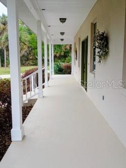 A large, light-colored house with a palm tree stands behind a fenced, grassy yard — 10264 W SPRINGTREE LANE, CRYSTAL RIVER, FL