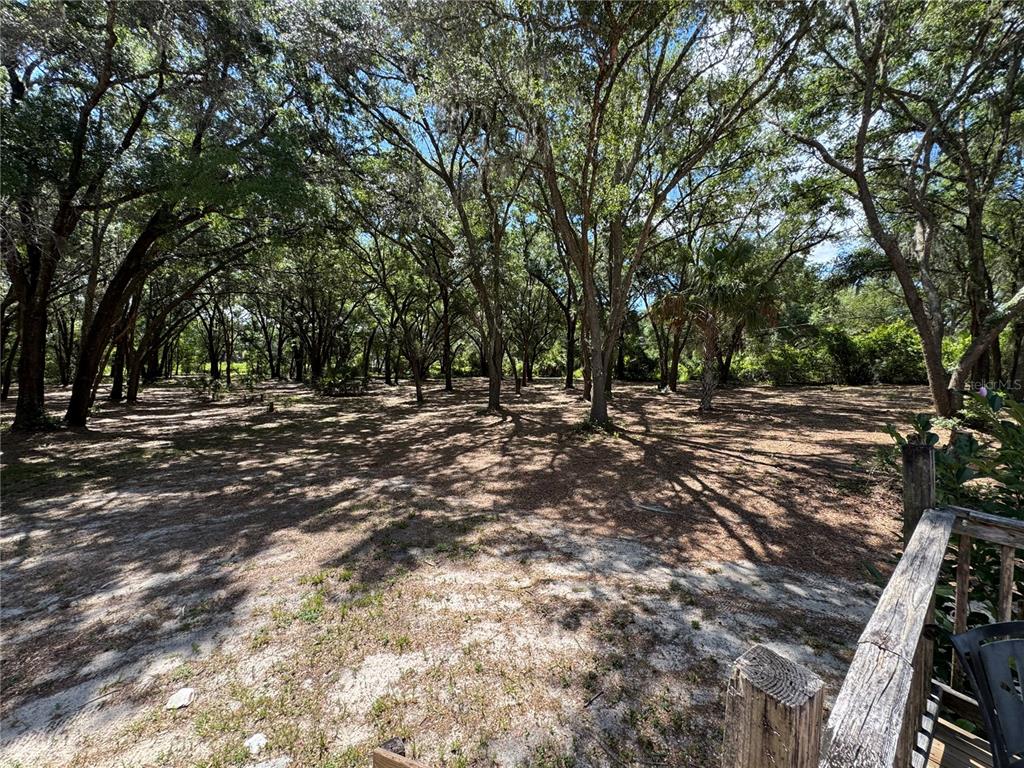 A view of a wooded lot with sandy ground and mature trees from a deck — 10645 SE 145TH STREET, SUMMERFIELD, FL