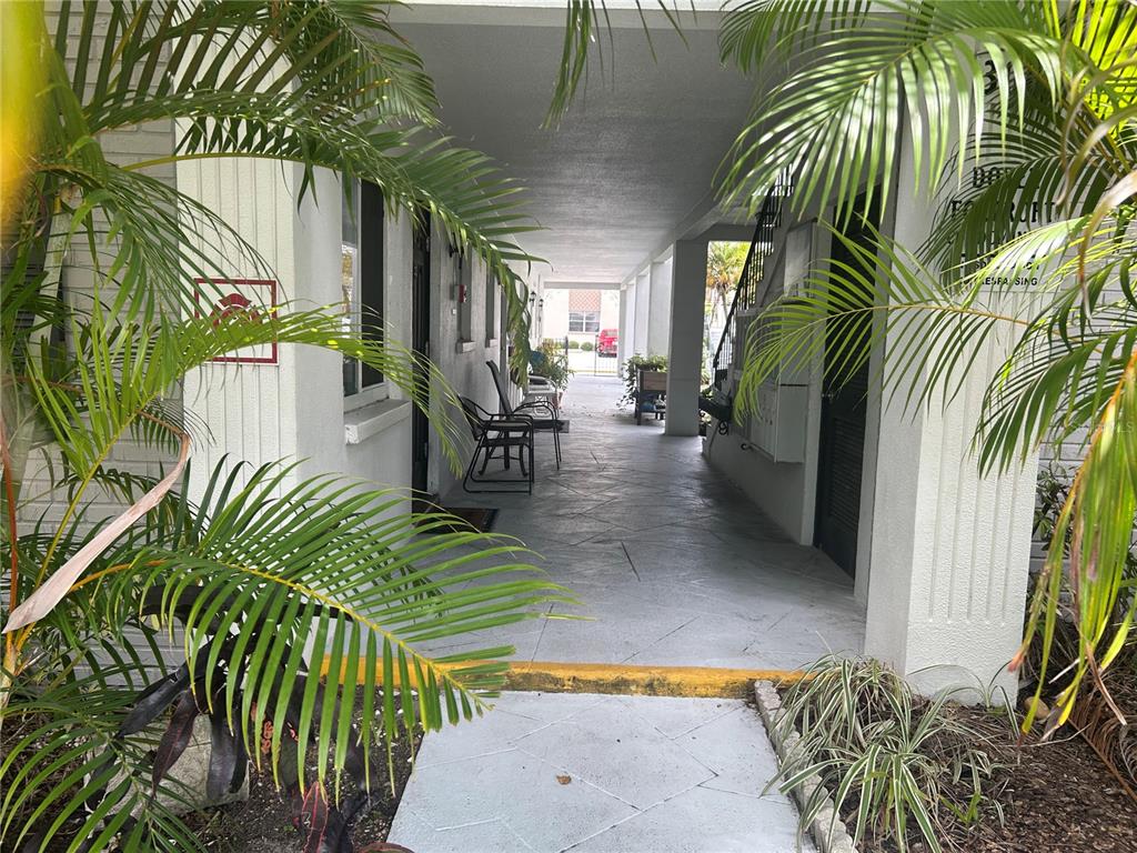 A covered outdoor walkway leads between two white buildings with palm trees in the foreground — 300 35TH AVENUE N UNIT F8, ST PETERSBURG, FL