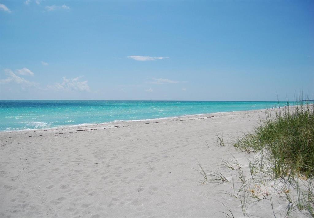 A sandy beach with dune grass leads to the turquoise ocean under a clear sky — 71 TWIN SHORES BOULEVARD, LONGBOAT KEY, FL