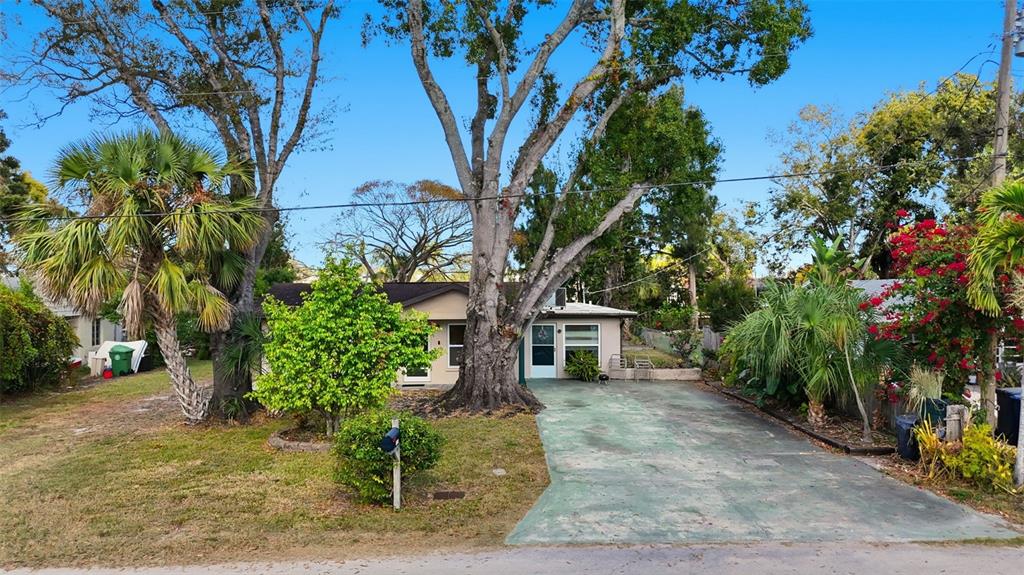 A single-story house with a large tree in the front yard and a concrete driveway — 1619 SUPONIC AVENUE, SARASOTA, FL