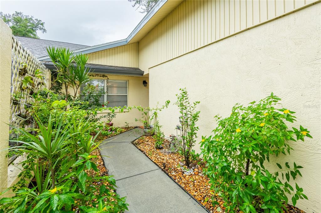A concrete walkway leads to the entrance of a house with light-colored stucco walls — 1944 ELAINE DRIVE UNIT 1944, CLEARWATER, FL