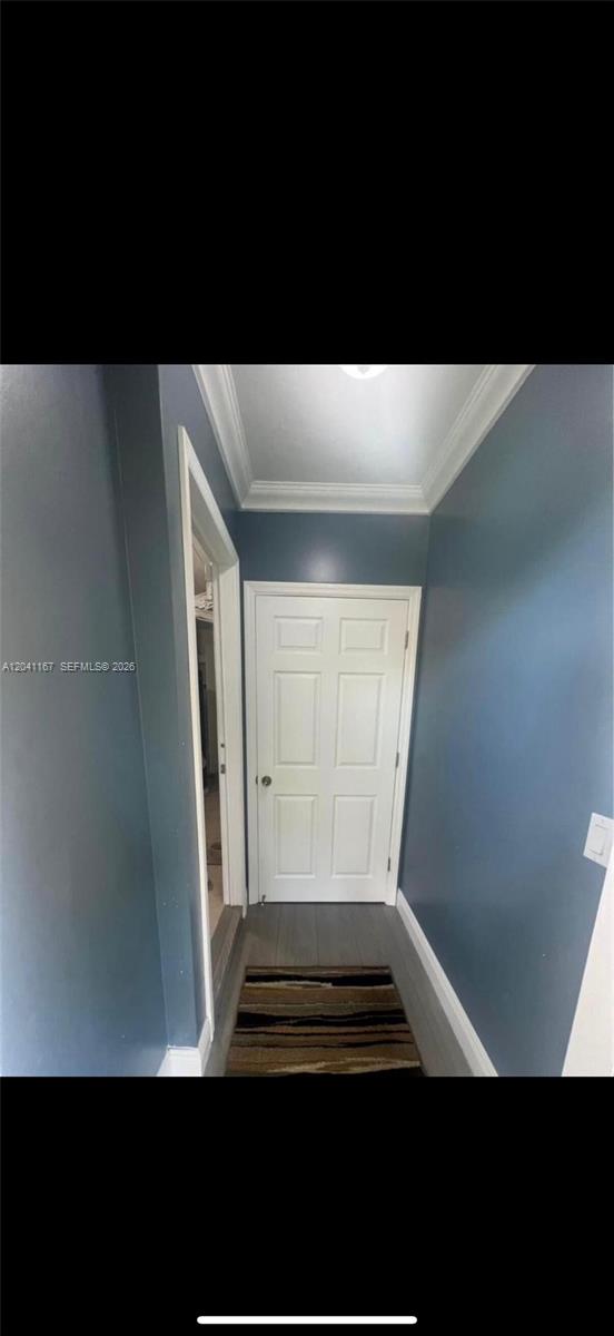 A hallway with dark blue walls, a white door, and a striped rug on the floor — 4731 fillmore # 1, Hollywood FL 33021, HOLLYWOOD, FL