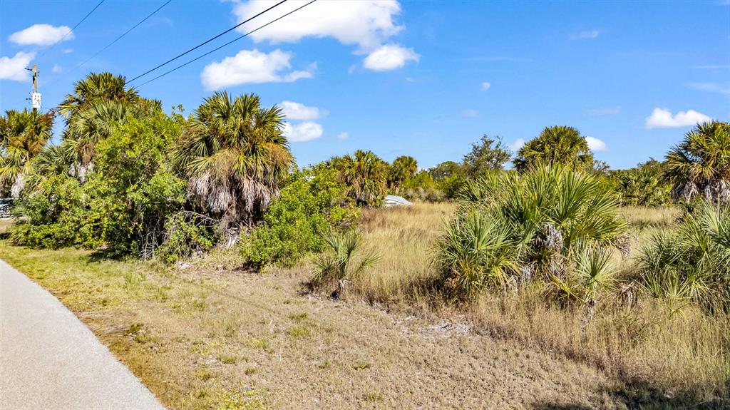 A paved road runs alongside a grassy, undeveloped lot filled with palm trees and shrubs — 4298 LIBRARY STREET, PORT CHARLOTTE, FL
