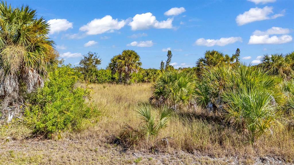 A vacant, grassy lot features scattered palm trees and shrubs under a blue sky — 4298 LIBRARY STREET, PORT CHARLOTTE, FL