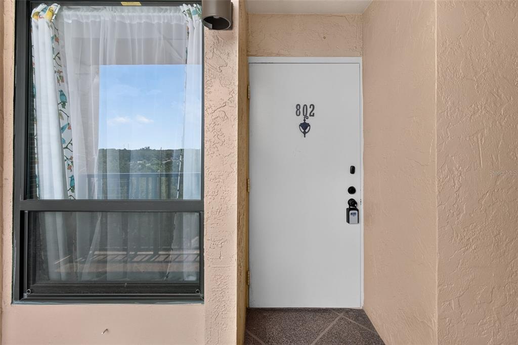 A white apartment door labeled 802 is positioned next to a large window with curtains — 2621 COVE CAY DRIVE UNIT 802, CLEARWATER, FL