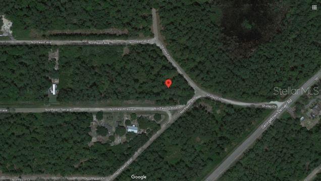 SHIRLEY CIR,, GEORGETOWN, FL — photo 4 of 6