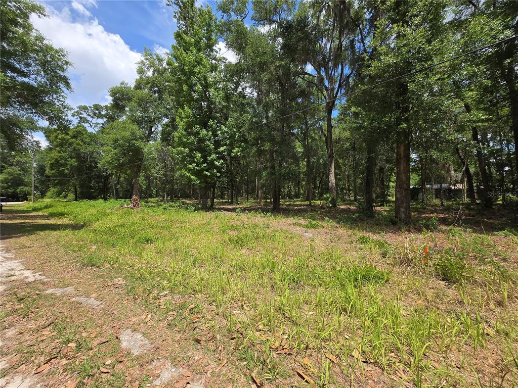 A grassy, wooded vacant lot features tall trees and a dirt road in the foreground — 0 SW 15TH PLACE, OCALA, FL